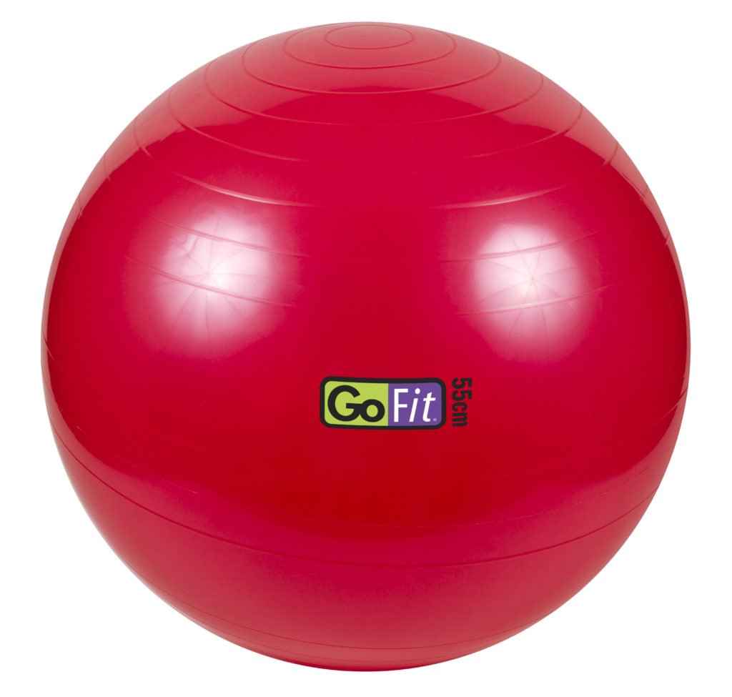 GoFit Stability Ball · Altus